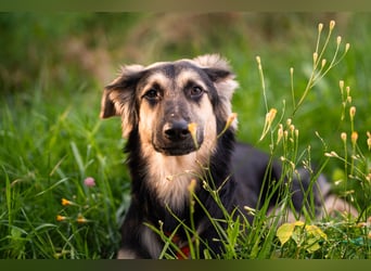 Der mutige Philip sucht seine Menschen