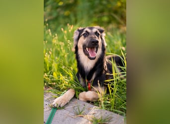 Der mutige Philip sucht seine Menschen