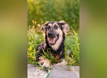 Der mutige Philip sucht seine Menschen