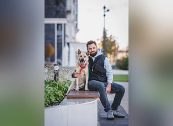 Skye treue seele sucht ....