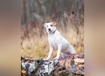 Aufgeschlossener Lord sucht aufgeschlossene Menschen