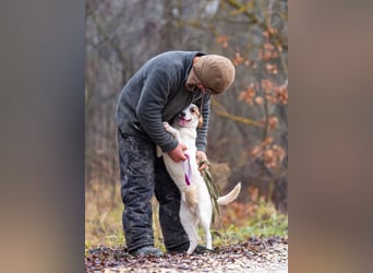 Aufgeschlossener Lord sucht aufgeschlossene Menschen