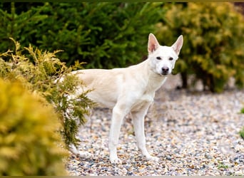 Wer nimmt Mickey in sein Leben..?!