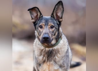 Laura wünscht sich eine aktive Familie