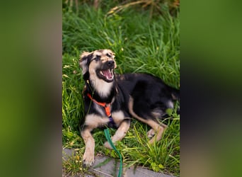 Der mutige Philip sucht seine Menschen