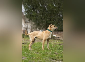 Kai sucht Menschen zum lieben