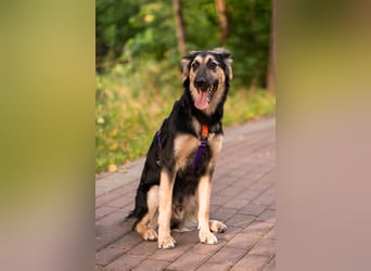 Der mutige Philip sucht seine Menschen