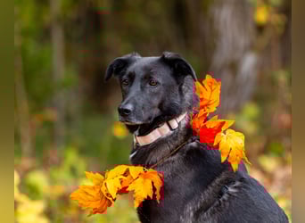 Wunderschöne Jasmine mochte geliebt werden