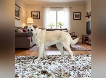 Gibst du Snezha einen warmen Platz?!