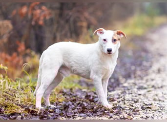 Aufgeschlossener Lord sucht aufgeschlossene Menschen
