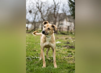Kai sucht Menschen zum lieben