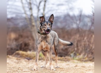 Laura wünscht sich eine aktive Familie