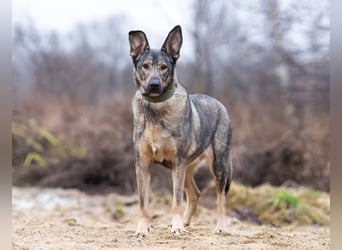 Laura wünscht sich eine aktive Familie
