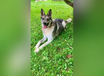 Dosja sucht ihre Familie für immer
