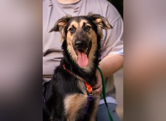 Der mutige Philip sucht seine Menschen