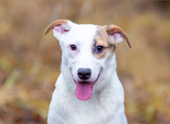 Aufgeschlossener Lord sucht aufgeschlossene Menschen