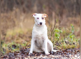 Aufgeschlossener Lord sucht aufgeschlossene Menschen