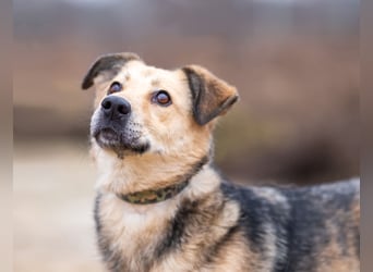 Mit wem kann Nora durch dick und dünn gehen?!