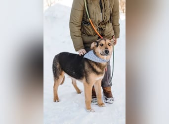 Junger Pluto sucht seine Menschen