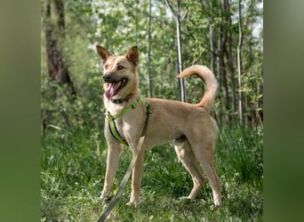 Archie möchte das Leben leben