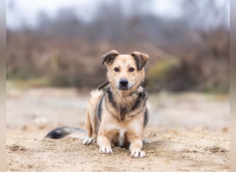 Mit wem kann Nora durch dick und dünn gehen?!