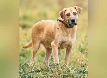 Blind und Taub sucht Pryanik seine Familie