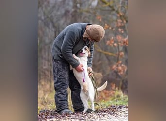 Aufgeschlossener Lord sucht aufgeschlossene Menschen