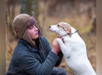 Aufgeschlossener Lord sucht aufgeschlossene Menschen