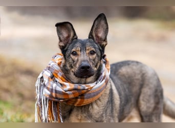 Laura wünscht sich eine aktive Familie