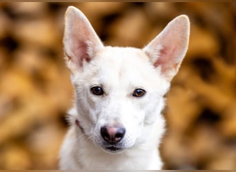 Wer nimmt Mickey in sein Leben..?!