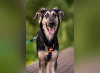 Der mutige Philip sucht seine Menschen