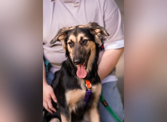 Der mutige Philip sucht seine Menschen