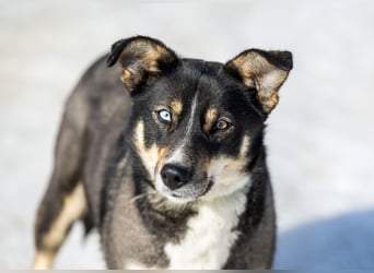 Schöne Sheila sucht traum zuhause