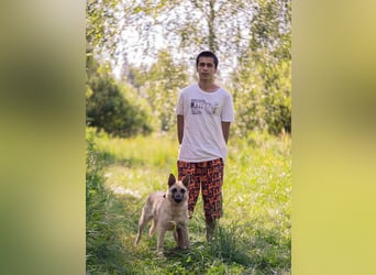 Sanfte Sofia sucht treue Familie