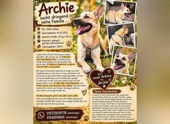 Archie sucht dringend seine Familie... Ort: 29614 Soltau