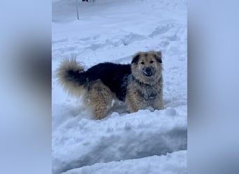 Aktiv und fröhlich durchs Leben mit Lora