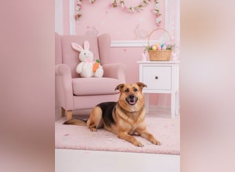 Zauberhafte Nadia sucht ihre menschen