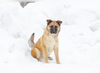 Zuckersüße Rada sucht liebe Familie