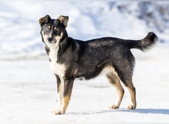 Schöne Sheila sucht traum zuhause