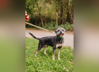 Shalim sucht nun den Platz für immer