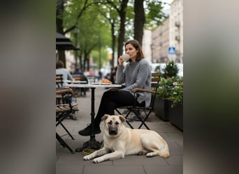 Jessie sucht ein aktives Leben