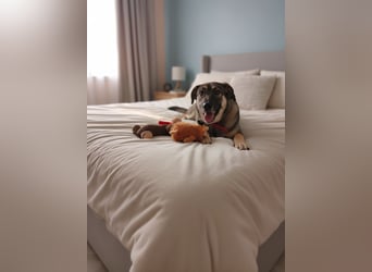 Verzaubert Lori dich mit ihren augen ?!