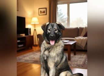 Selbstbewusste Tosya sucht aktive Menschen