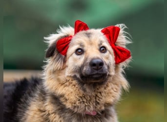 Aktiv und fröhlich durchs Leben mit Lora