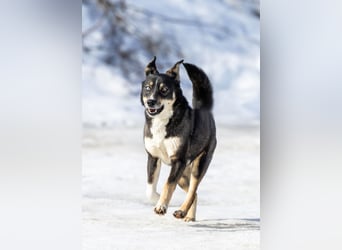 Schöne Sheila sucht traum zuhause