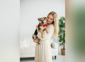 Junger Chernysh möchte die Welt Erkunden