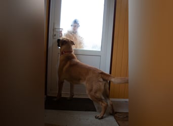 Junge hübsche Leia sucht Familie