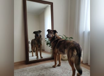 Ein Herz für Vasilisa geben Sie ihr eine Chance auf ein glückliches Leben!