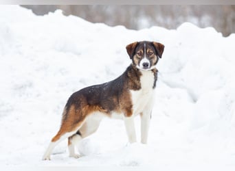 Havier sucht ein aktives Leben...