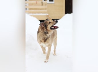 Lyon möchte endlich Liebe und wärme spüren